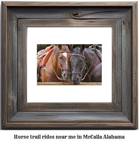 horse trail rides near me in McCalla, Alabama